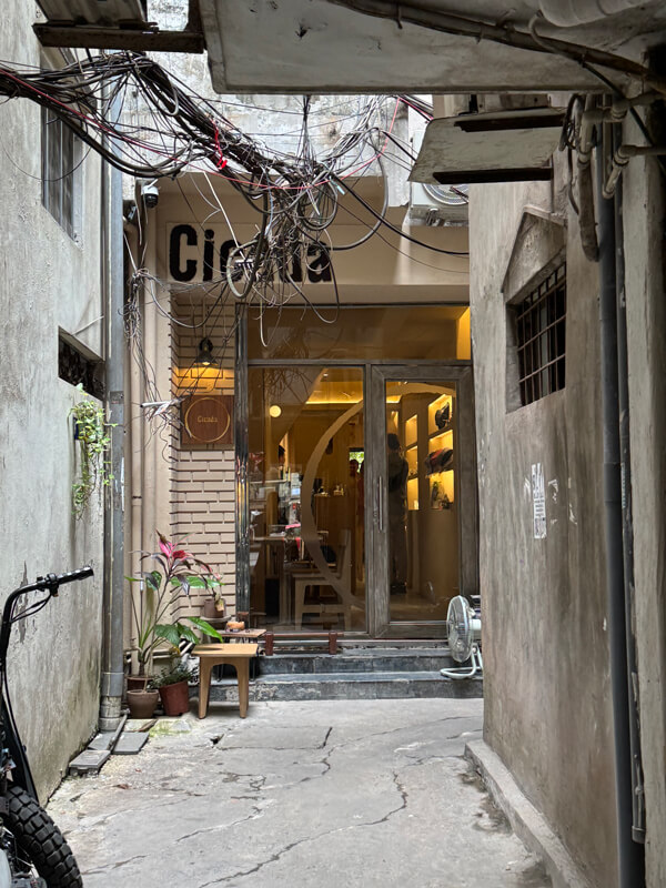 Cicada – Coffee & Tea